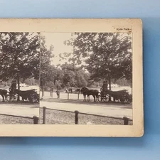 London Stereoview C1880 Real Photo Victorian Scene Hyde Park Carriage Rank