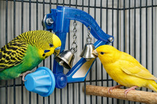 JW LITTLE FRIENDS HARP BUDGIE CANARY BIRD TOY 2 BELLS MIRROR BOLTS TO CAGE