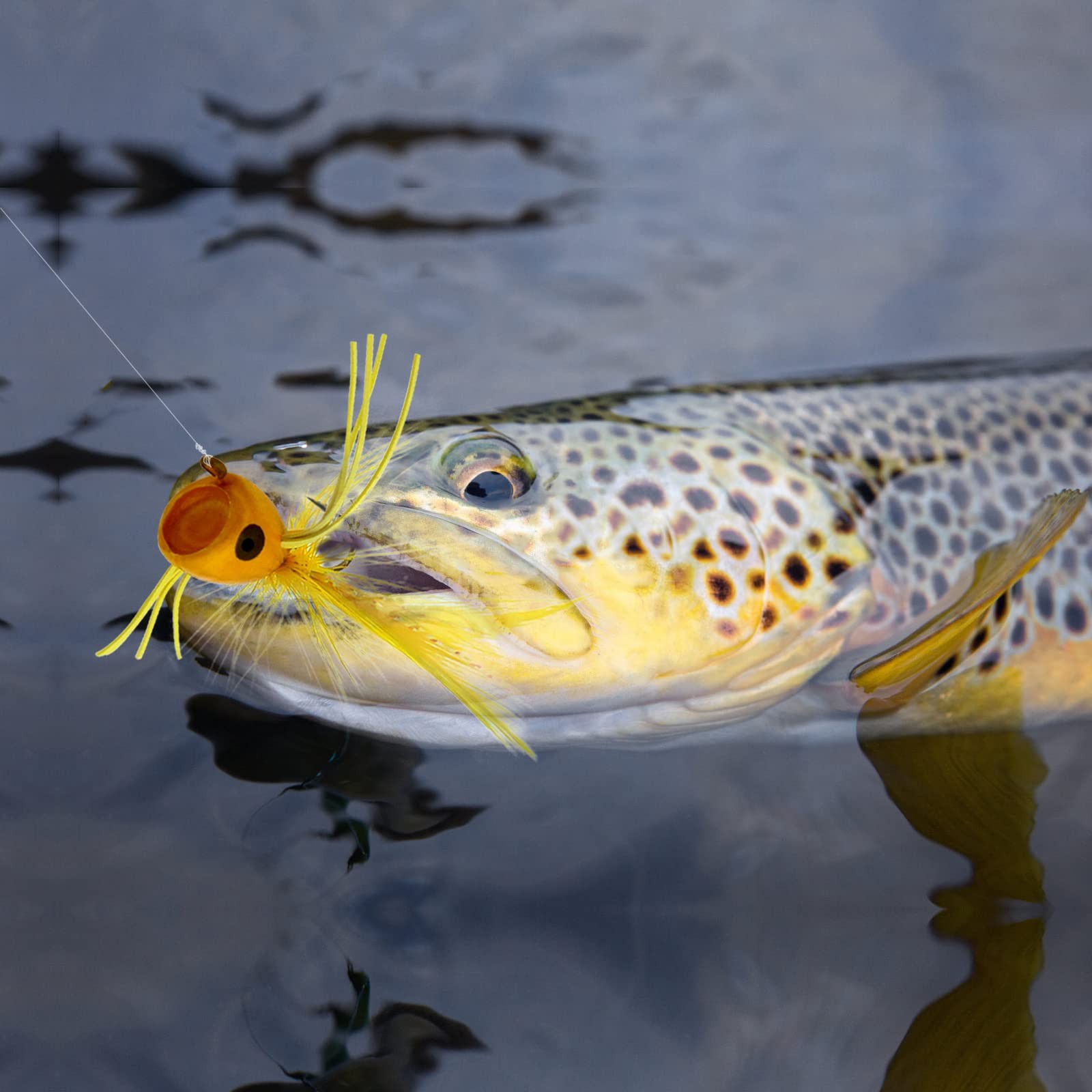 FishingPepo Fly Fishing Poppers, Topwater Fishing Lures Bass Crappie Bluegill... - Image 7