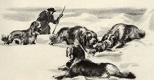 Saint Bernard Rescue - CUSTOM MATTED - 1954 V...