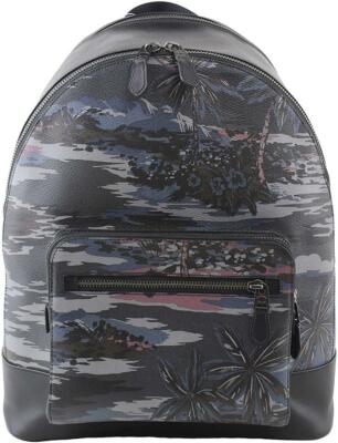 coach hawaiian print backpack Mini Court With Club de Mode C9967 Upgrade your everyday carry with the Coach Hudson Backpack Coach X Keith Haring Academy