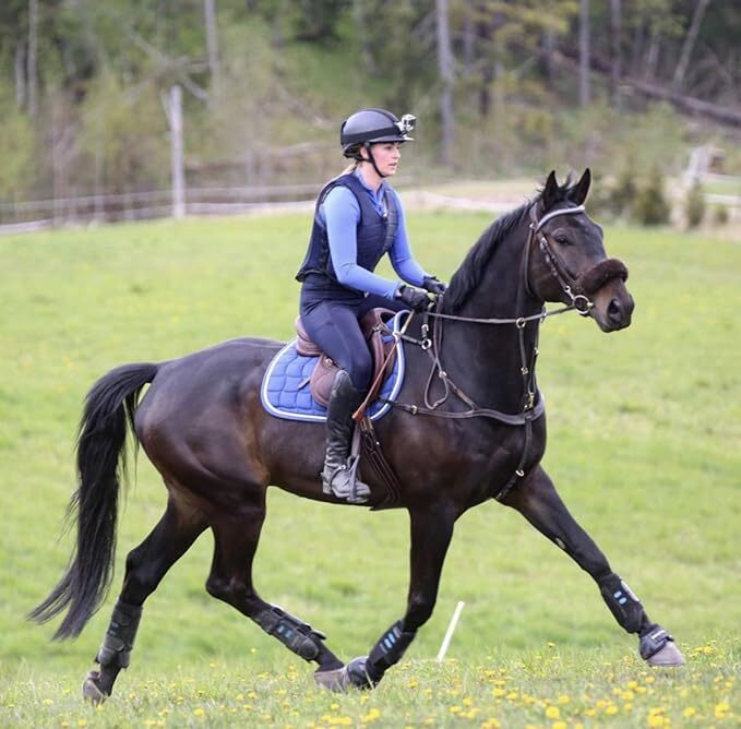 Jayefo Ladies Horse Riding Gloves Riding eBay