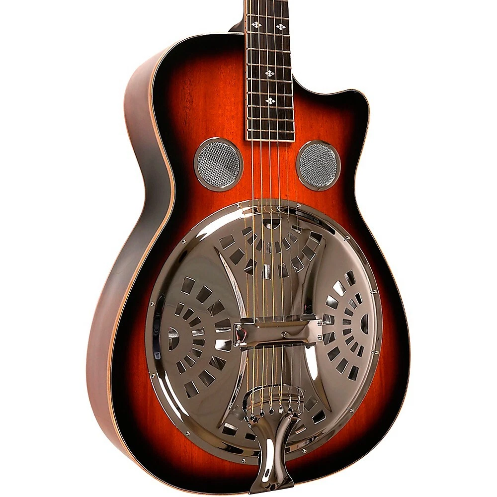 Gold tone paul sale beard resonator guitar