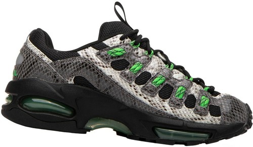 Puma Cell Endura Animal Kingdom Herren Sneaker Sport- Freizeitschuhe NEU |  eBay