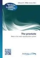 Edward R. Miller-Jones | The Prostate | Taschenbuch | Englisch (2026)
