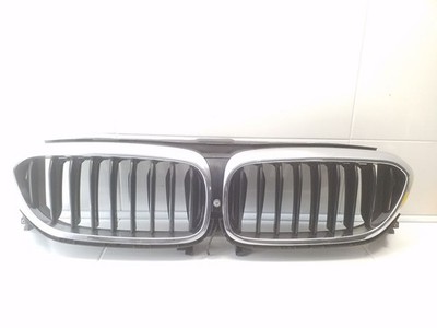 BMW 5 G30 G31 2017 Front Upper Grille 747436803 BOS102969