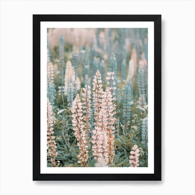 Berglupine Blumen Kunstdruck F gerahmt Wandbild Poster Leinwanddruck Bild