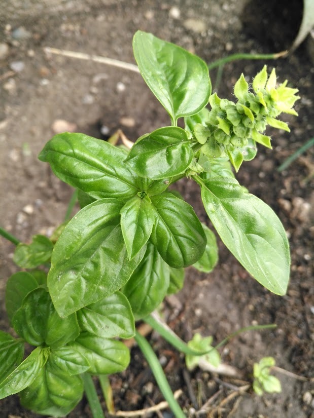 Picture 3 of 5