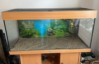 Juwel Rio 180 aquarium and stand (used)