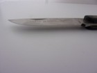 Case XX USA Sod Buster 4Dot 2138SS Folding PocketKnife3-3/4" Blade w/wood handle — photo 7