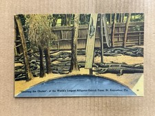 Postcard St Augustine FL Florida Alligator Ostrich Farm Vintage 1942 PC