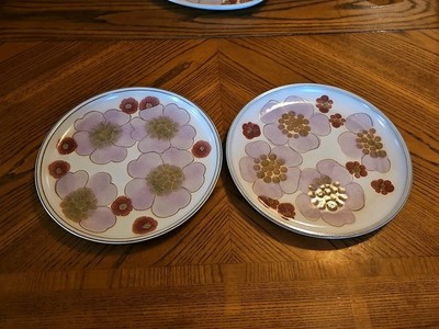 Vintage Denby-Langley GYPSY 10'' Dinner plates w/ pink flowers - EUC Set of 2