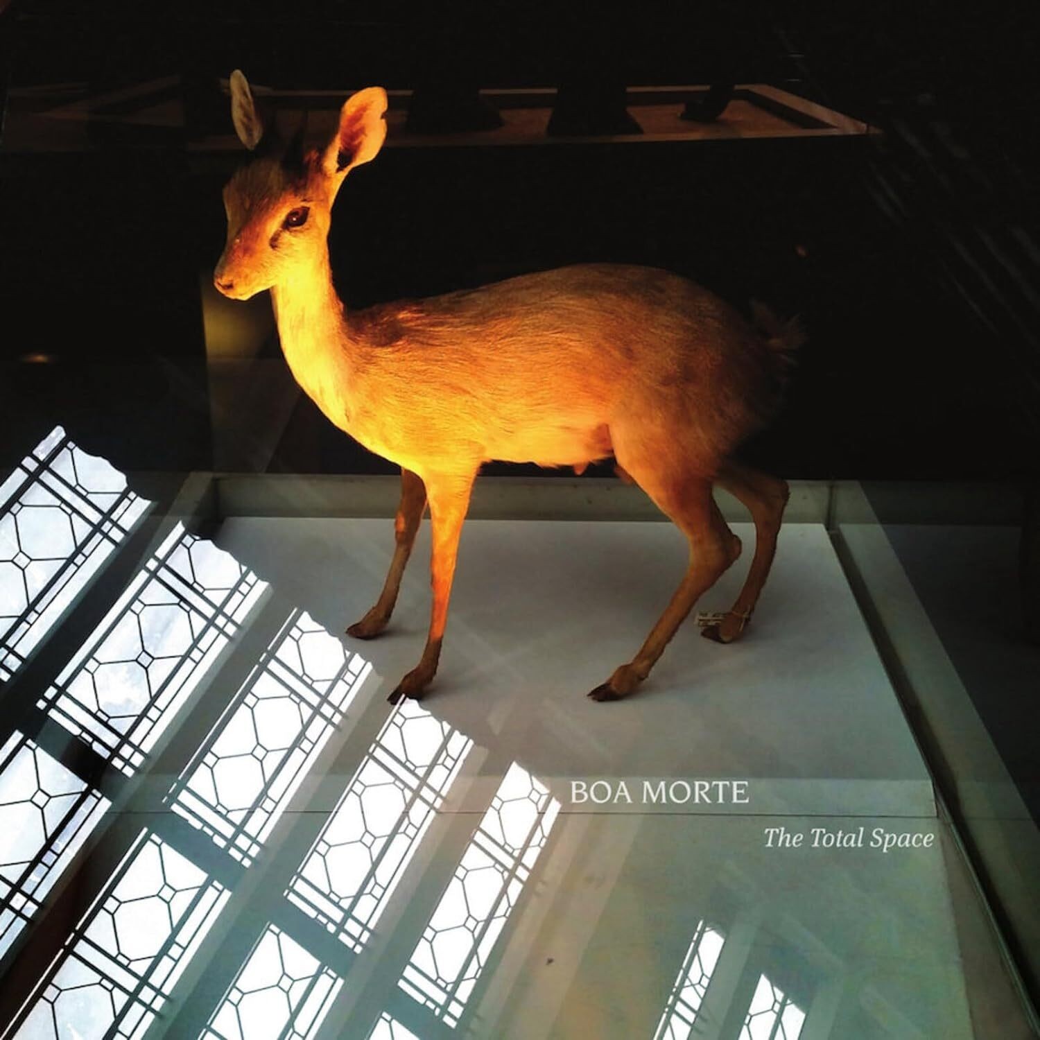 Boa Morte The Total Space (Vinyl LP) 12" Album