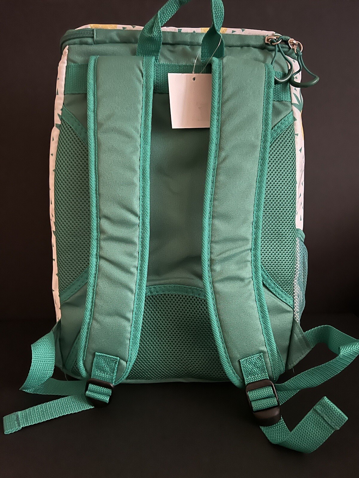 Adventuridge Insulated Cooler Backpack & Lunchbox