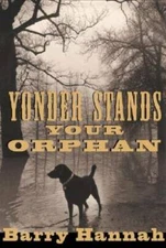 Yonder Stands Your Orphan - Hardcover By Hannah, Barry - GOOD