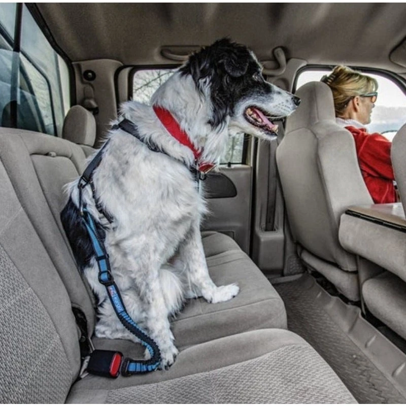 Correa elástica Kurgo directa al cinturón de seguridad para perros para todos los tamaños clip universal nueva Foto 2 de 4