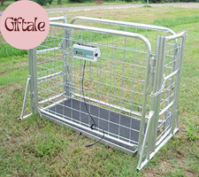 VS-660 Hog Sheep Goat Scale with Cage