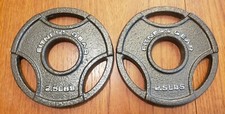 Fitness Gear Olympic Barbell Weights - Pair of 2.5 Lb Grip Plates