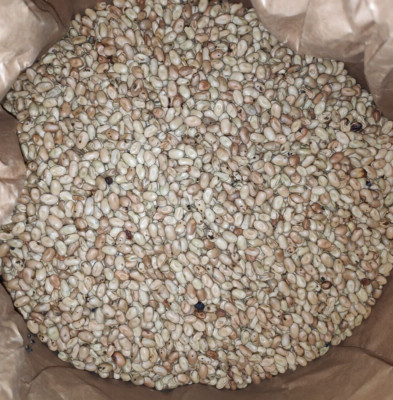 25 kg Erbsen, Ackerbohnen und Erbsenbruch gebrochen - Hanf - Sorghum Hirse Milo
