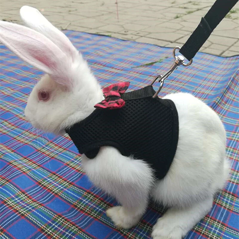 Pet Supplies Rabbit Clothes Back Chest Pet Leash Bow Tie Soft Cute Gh   ↲ - Bild 4 von 4