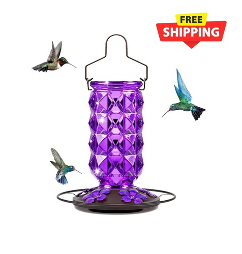 Glass Hummingbird Feeders for Outdoors, 25 Ounces Wild Bird Nectar Feeder with P - Picture 2 of 7