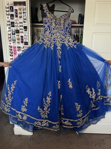 Blue and Gold Quinceañera with Floral Embroidery
