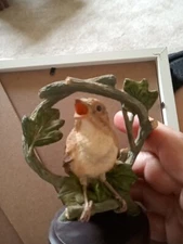 Hand Sculptured And Hand Painted The.Nightingale, The Country Bird Collection