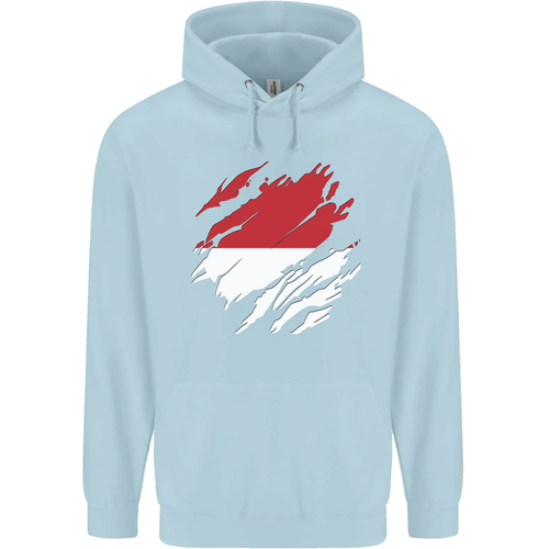 Torn Indonesia Flag Indonesian Day Football Childrens Kids Hoodie - Picture 55 of 76