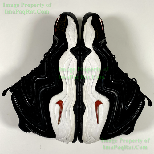 Scottie Pippen Game Worn Flu Shoes Nike Zoom Air 1 Player Exclusives Signed COA - Picture 7 of 22