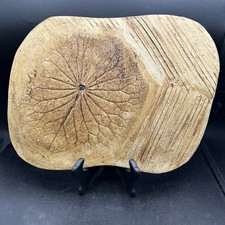 Studio Art Pottery Hand Painted Dragonfly Leaf Charcuterie Tray 11&rdquo; X 14 1/2&rdquo;