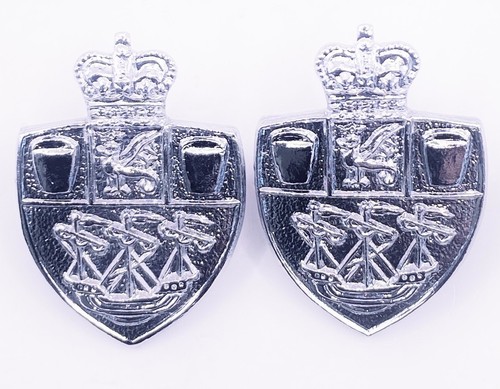 Obsolete Teesside Pair of Queens Crown Collar Badges