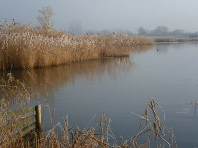 Photo A3 Icy lake at the London Wetland Centre Barnes The fog had not lo c2012