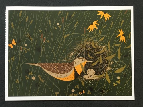 Charley Harper Bird / Animal Postcards - Choose Postcard Design From List - Picture 9 of 62