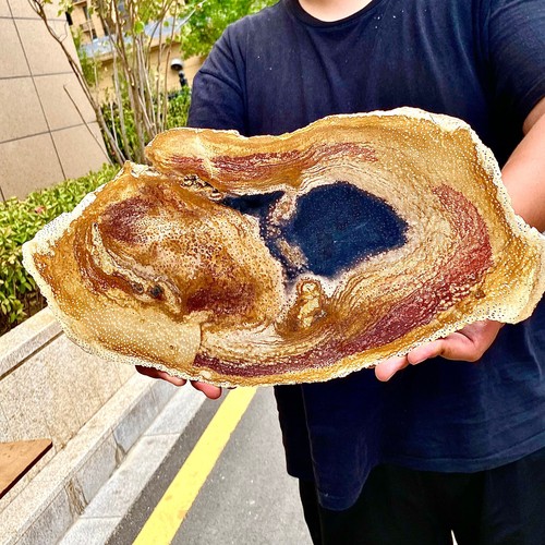 4.44LB Large Natural Petrified Wood Crystal Fossil Slice Shape Specimen Healing - 第 2/13 張圖片