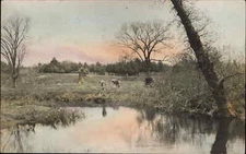 Elmwood Postal Cancel MA Cows & Water Holyoke Area? c1910 Real Photo Postcard