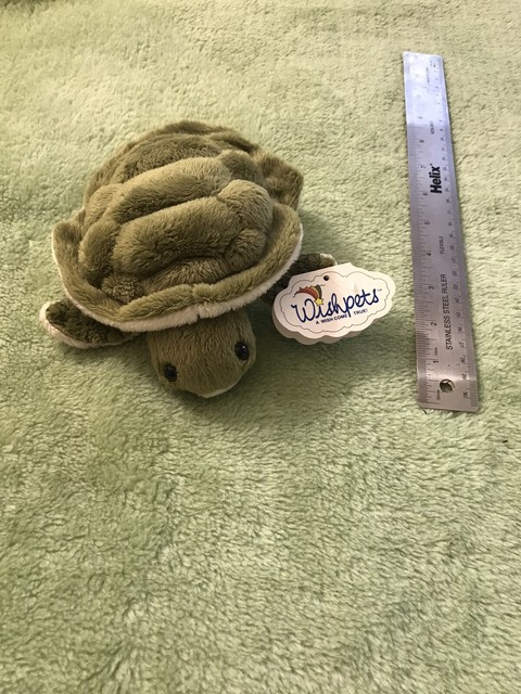 wishpets turtle