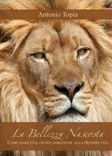 Antonio Topia La bellezza nascosta (Paperback) (US IMPORT)