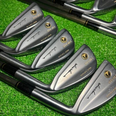 HONMA EXD-500 10pcs 3-11,Sw Iron Set Carbon Shaft Flex R-1 | eBay