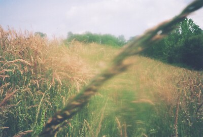 ⭐️動作良好⭐️オリンパス OLYMPUS XA3 Olympus XA3 - Filmphotography.eu