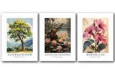 Timor-Leste National Symbols, Set of 3 Poster Prints, Wall Art Decor, Unframed