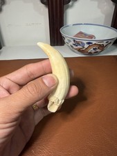 Faux Whale Tooth Replica