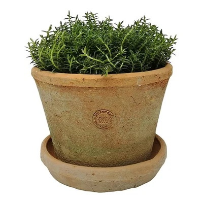HEAVENLY HOMES AND GARDENS Kew Gardens Terracotta Plant Pot with Saucer, Rustic Planter, Succulent Herb Pot