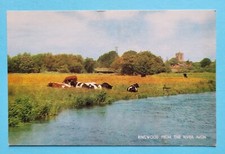 Vintage Postcard Unposted Ringwood from River Avon South West Hampshire England