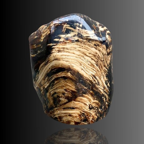Genuine 1500Gr Huge Raw Amber Indonesia Specimen Rough Crsystal - Picture 3 of 9
