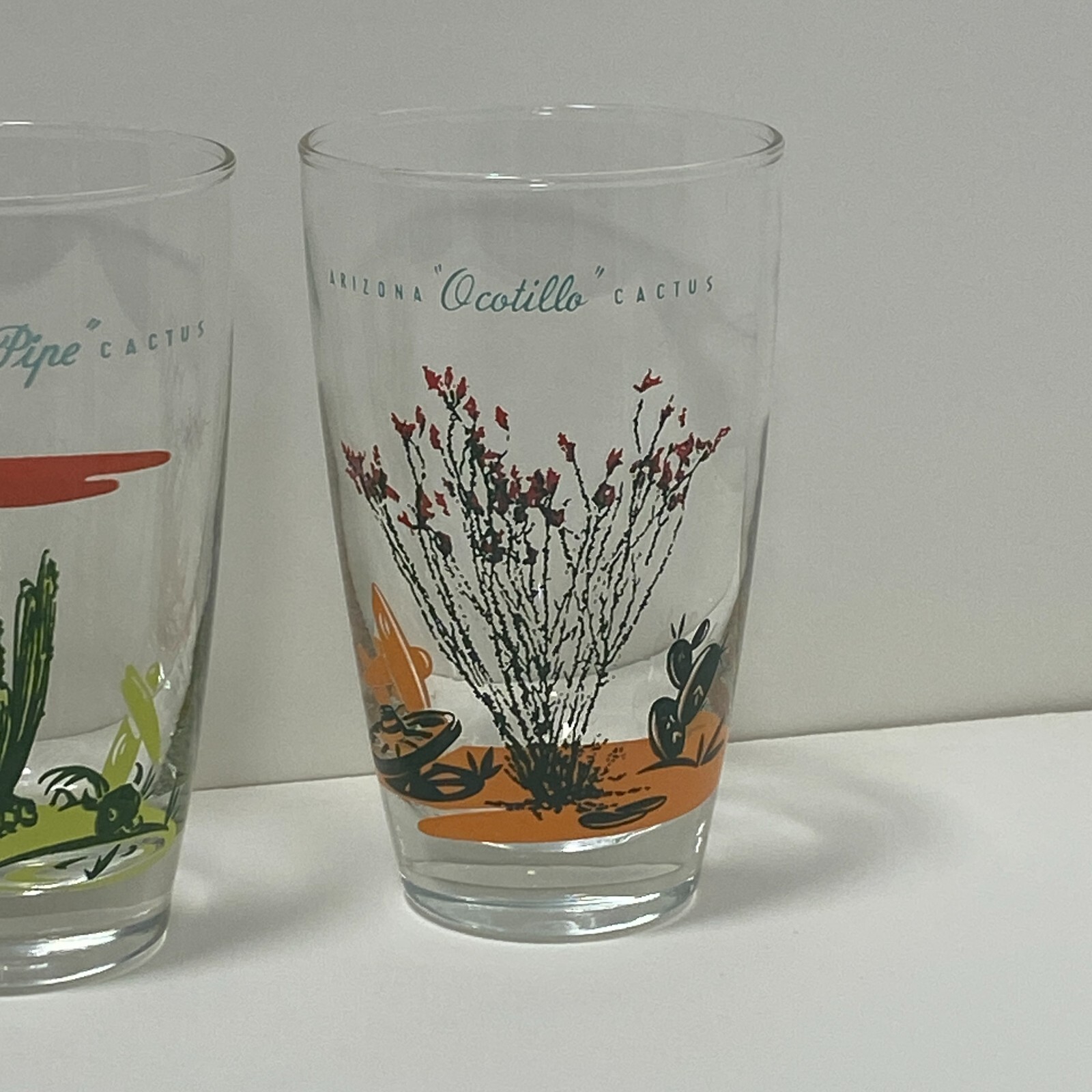 VTG Blakely Oil Gas Station ARIZONA CACTUS CLEAR GLASS TUMBLERS Cholla