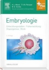 Embryologie: Entwicklungsstadien - Frühentwi...