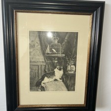 Cat And Canary In Cage Framed