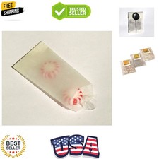 Mini Glassine Wax Paper Bags - 2 x 3 1/2 - 100 Bags