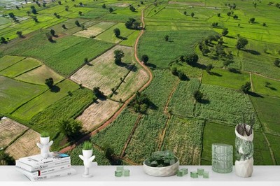 3D Plains Farmland Landscape Wall Murals Wallpaper Murals Wall Sticker