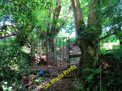 Foto 6x4 Llwybry Beili .\/ Beili Fußweg Cynwyl Elfed G�t Fochyn ar l c2015